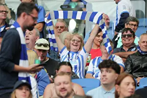 Fulham 16AUG25 Prints: Brighton and Hove Albion v Fulham
Premier League
16AUG25