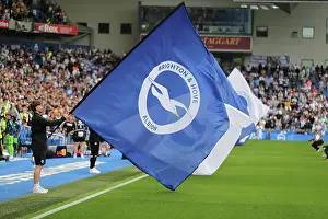 Fulham 16AUG25 Prints: Brighton and Hove Albion v Fulham
Premier League
16AUG25