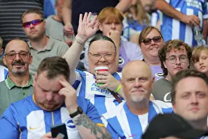 Fulham 16AUG25 Prints: Brighton and Hove Albion v Fulham
Premier League
16AUG25