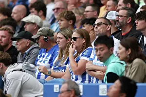 Brighton and Hove Albion v Fulham<br> Premier League<br> 16AUG25