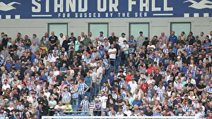 Brighton and Hove Albion v Fulham<br> Premier League<br> 16AUG25