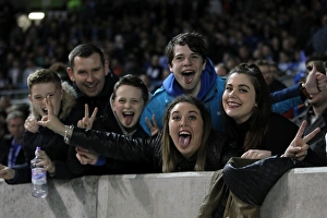 Images Dated 2011 January: Brighton and Hove Albion v Fulham Sky Bet Championship 15 / 04 / 2016