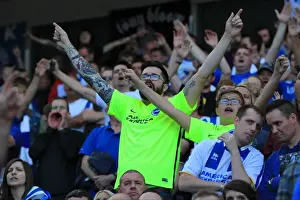 Brighton and Hove Albion v Hull City Sky Bet Championship 07 / 08 / 2015