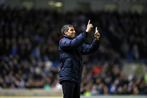 Brighton and Hove Albion v Ipswich Town EFL Sky Bet Championship 14/02/2017 Brighton and Hove Albion v Ipswich Town EFL Sky Bet Championship 14/02/2017