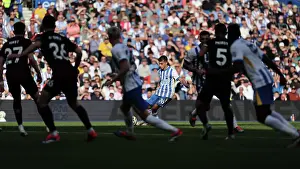 Ipswich Town 14SEP24 Prints: Brighton and Hove Albion v Ipswich Town Premier League 14SEP24