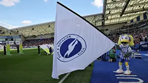 Sally Prints: Brighton and Hove Albion v Ipswich Town Premier League 14SEP24