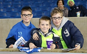 Brighton and Hove Albion v Ipswich Town Sky Bet Championship 29/12/2015 Brighton and Hove Albion v Ipswich Town Sky Bet Championship 29/12/2015