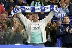 Leeds United 01NOV25 Prints: Brighton and Hove Albion v Leeds United
Premier League
01NOV25