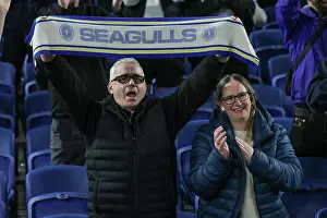 Leeds United 01NOV25 Prints: Brighton and Hove Albion v Leeds United
Premier League
01NOV25