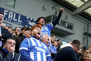 Brighton and Hove Albion v Leeds United<br> Premier League<br> 01NOV25