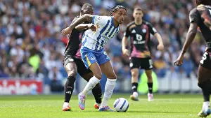 Joao Pedro Prints: Brighton and Hove Albion v Leicester City Premier League 12APR25