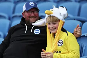 Brighton and Hove Albion v Leicester City Premier League 12APR25