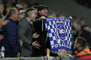Brighton and Hove Albion v Liverpool Premier League 09JAN19