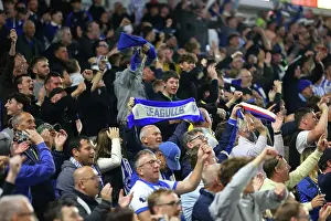 Brighton and Hove Albion v LIverpool Premier League 19MAY25