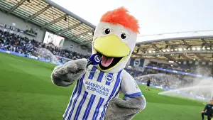 Club Mascot Prints: Brighton and Hove Albion v LIverpool Premier League 19MAY25
