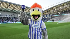 Club Mascot Prints: Brighton and Hove Albion v LIverpool Premier League 19MAY25