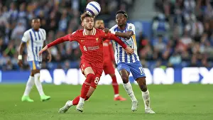 Liverpool Defender Conor Bradley 84 Prints: Brighton and Hove Albion v LIverpool Premier League 19MAY25