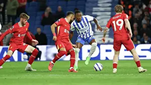 Weaves His Way Through Prints: Brighton and Hove Albion v LIverpool Premier League 19MAY25