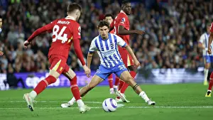 Liverpool 19MAY25 Prints: Brighton and Hove Albion v LIverpool Premier League 19MAY25