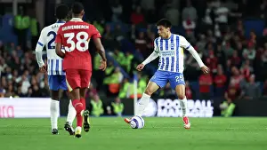 Liverpool 19MAY25 Prints: Brighton and Hove Albion v LIverpool Premier League 19MAY25