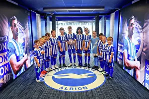 brighton hove albion v manchester city premier