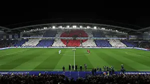 Poppy Prints: Brighton and Hove Albion v Manchester City Premier League 09NOV24