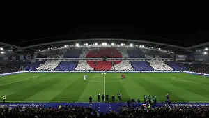 Poppy Prints: Brighton and Hove Albion v Manchester City Premier League 09NOV24