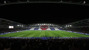 Poppy Prints: Brighton and Hove Albion v Manchester City Premier League 09NOV24