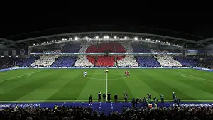 Poppy Prints: Brighton and Hove Albion v Manchester City Premier League 09NOV24