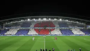 Poppy Prints: Brighton and Hove Albion v Manchester City Premier League 09NOV24