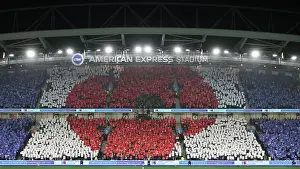 Poppy Prints: Brighton and Hove Albion v Manchester City Premier League 09NOV24