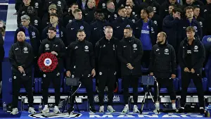 Poppy Prints: Brighton and Hove Albion v Manchester City Premier League 09NOV24