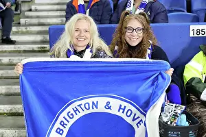 Brighton and Hove Albion v Manchester City Premier League 09NOV24