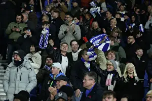 Brighton and Hove Albion v Manchester City Premier League 09NOV24