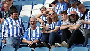 Manchester City 31AUG25 Prints: Brighton and Hove Albion v Manchester City
Premier League
31AUG25