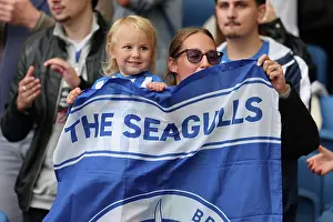 Manchester City 31AUG25 Prints: Brighton and Hove Albion v Manchester City
Premier League
31AUG25