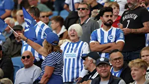 Brighton and Hove Albion v Manchester City<br> Premier League<br> 31AUG25
