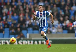Mk Dons Prints: Brighton and Hove Albion v Milton Keynes Dons Sky Bet Championship 07 / 11 / 2015