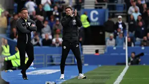 In The Technical Area Prints: Brighton and Hove Albion v Newcastle United Premier League 04MAY25
