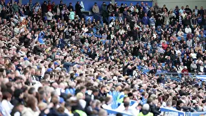 Brighton and Hove Albion v Newcastle United Premier League 04MAY25