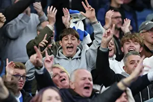 Newcastle United 18OCT25 Prints: Brighton and Hove Albion v Newcastle United
Premier League
18OCT25