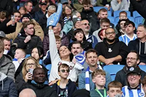 Newcastle United 18OCT25 Prints: Brighton and Hove Albion v Newcastle United
Premier League
18OCT25