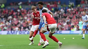 Nottingham Forest 22SEP24 Prints: Brighton and Hove Albion v Nottingham Forest Premier League 22SEP24