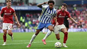 Nottingham Forest 22SEP24 Prints: Brighton and Hove Albion v Nottingham Forest Premier League 22SEP24