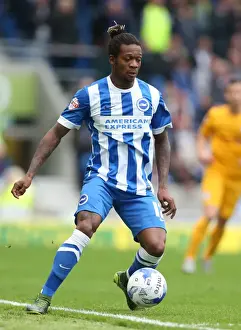 Brighton and Hove Albion v Preston North End Sky Bet Championship 24 / 10 / 2015