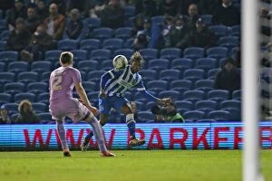 Reading Gallery: Brighton and Hove Albion v Reading Sky Bet Championship 15 / 03 / 2016