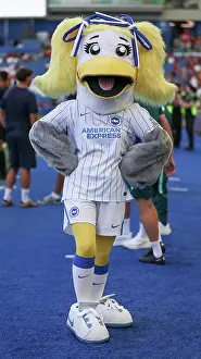 Sally Prints: Brighton and Hove Albion v Roma
Premier League
08AUG26