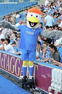 Club Mascot Prints: Brighton and Hove Albion v Roma
Premier League
08AUG26