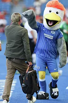 Club Mascot Prints: Brighton and Hove Albion v Roma
Premier League
08AUG26