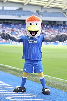 Club Mascot Prints: Brighton and Hove Albion v Roma
Premier League
08AUG26